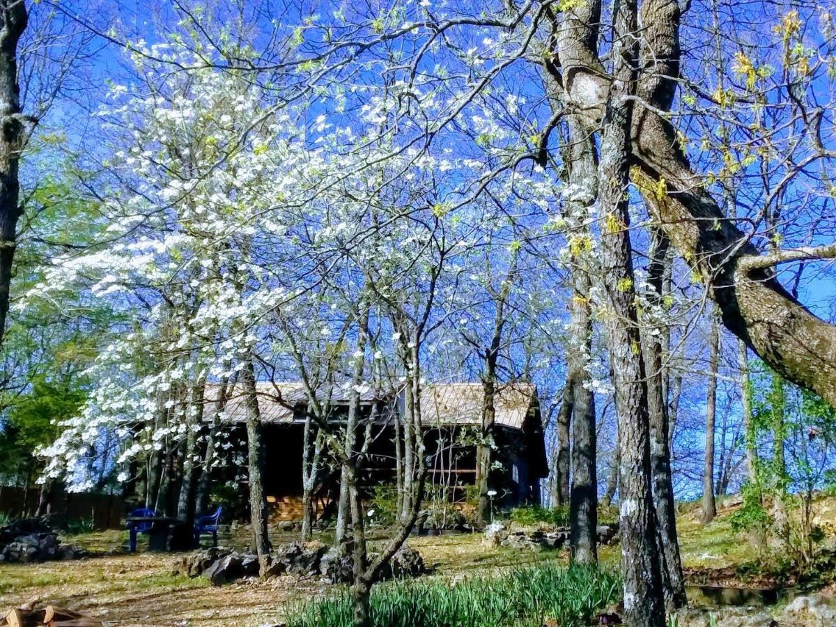 Cherokee Mountain Log Cabins Юрика-Спрінгс Екстер'єр фото